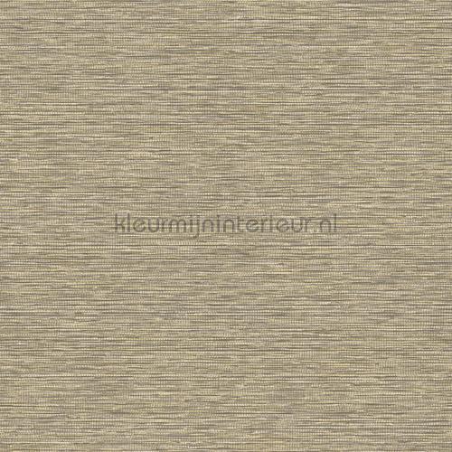 Hookedonwalls Leopard Walk 15308 | Bestellen bij https://www.kleurmijninterieur.nl/