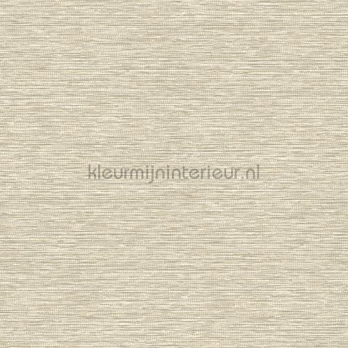 Hookedonwalls Leopard Walk 15309 | Bestellen bij https://www.kleurmijninterieur.nl/