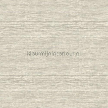 Hookedonwalls Leopard Walk 15311 | Bestellen bij https://www.kleurmijninterieur.nl/