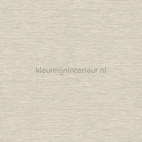 Hookedonwalls Leopard Walk 15311 | Bestellen bij https://www.kleurmijninterieur.nl/