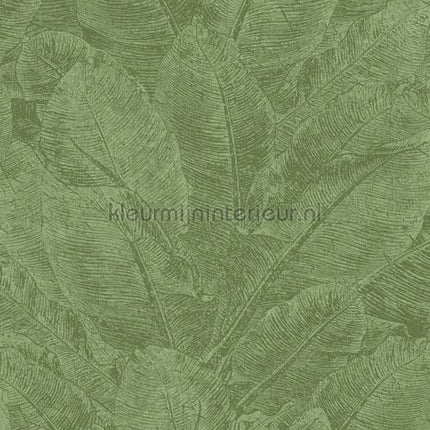 Khroma Havana HAV302 | Bestellen bij https://www.kleurmijninterieur.nl/