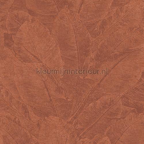 Khroma Havana HAV301 | Bestellen bij https://www.kleurmijninterieur.nl/