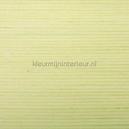 Rodeka Innovations gpw-ivjsd-808 | Bestellen bij https://www.kleurmijninterieur.nl/