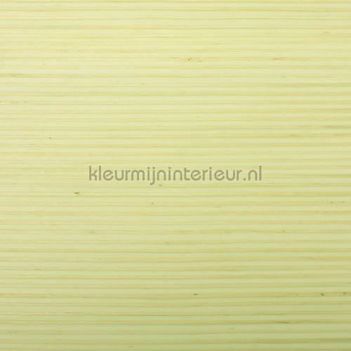 Rodeka Innovations gpw-ivjsd-808 | Bestellen bij https://www.kleurmijninterieur.nl/