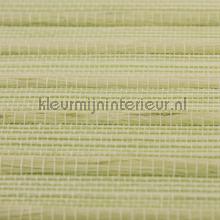 Rodeka Innovations gpw-ivjsd-808 | Bestellen bij https://www.kleurmijninterieur.nl/