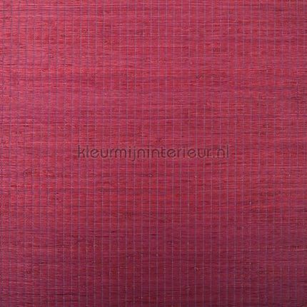Rodeka Innovations 60-026 | Bestellen bij https://www.kleurmijninterieur.nl/