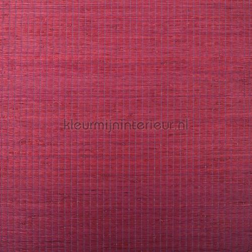 Rodeka Innovations 60-026 | Bestellen bij https://www.kleurmijninterieur.nl/