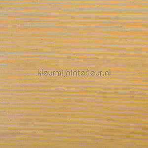 Rodeka Savanna 60-014 | Bestellen bij https://www.kleurmijninterieur.nl/