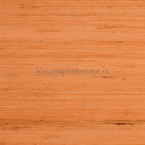 Rodeka Savanna 60-011 | Bestellen bij https://www.kleurmijninterieur.nl/