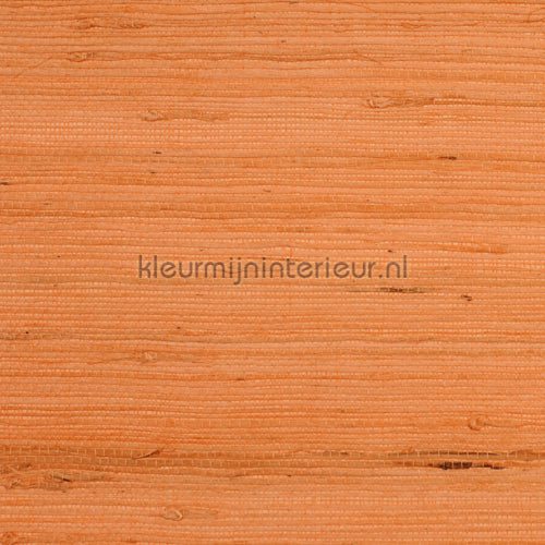 Rodeka Savanna 60-011 | Bestellen bij https://www.kleurmijninterieur.nl/
