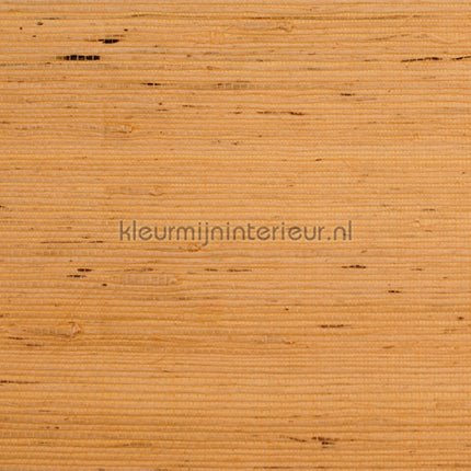 Rodeka Savanna 60-013 | Bestellen bij https://www.kleurmijninterieur.nl/