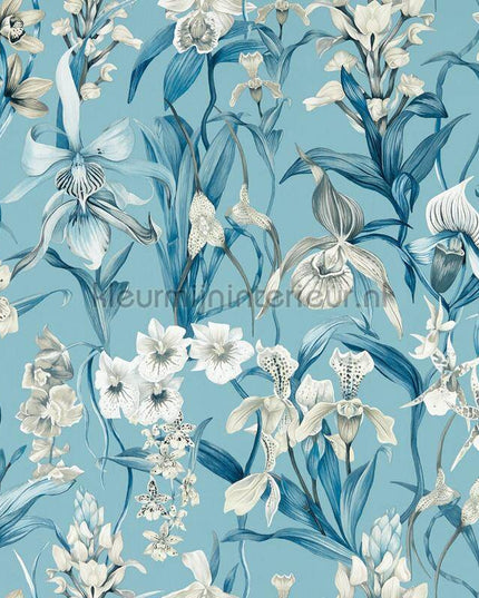 Harlequin Colour 4 HC4W113008 | Bestellen bij https://www.kleurmijninterieur.nl/