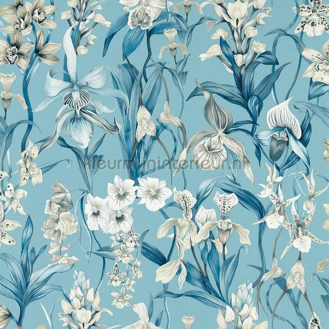 Harlequin Colour 4 HC4W113008 | Bestellen bij https://www.kleurmijninterieur.nl/