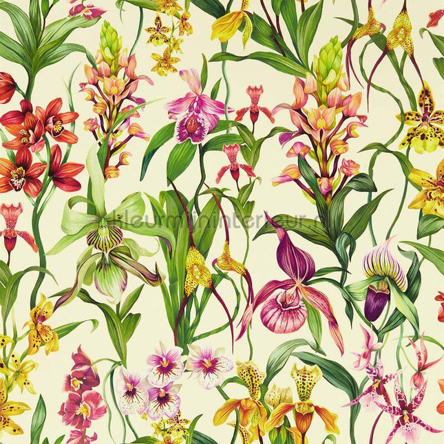 Harlequin Colour 4 HC4W113009 | Bestellen bij https://www.kleurmijninterieur.nl/