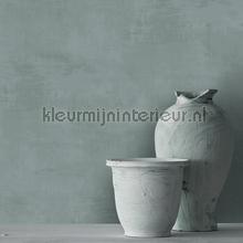 Dutch Wallcoverings Kalk 61020 | Bestellen bij https://www.kleurmijninterieur.nl/