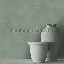 Dutch Wallcoverings Kalk 61019 | Bestellen bij https://www.kleurmijninterieur.nl/