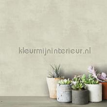 Dutch Wallcoverings Kalk 61023 | Bestellen bij https://www.kleurmijninterieur.nl/