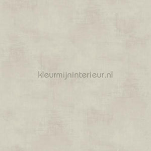 Dutch Wallcoverings Kalk 61013 | Bestellen bij https://www.kleurmijninterieur.nl/