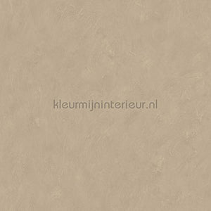 Dutch Wallcoverings Kalk 61024 | Bestellen bij https://www.kleurmijninterieur.nl/