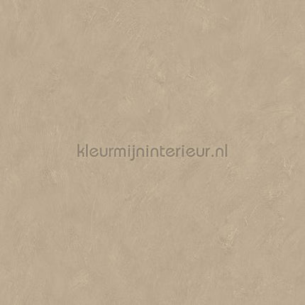 Dutch Wallcoverings Kalk 61024 | Bestellen bij https://www.kleurmijninterieur.nl/