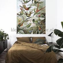 Kek Amsterdam Circles and Panels pa-023 | Bestellen bij https://www.kleurmijninterieur.nl/