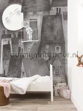 Kek Amsterdam Kinderbehang WS-048 | Bestellen bij https://www.kleurmijninterieur.nl/