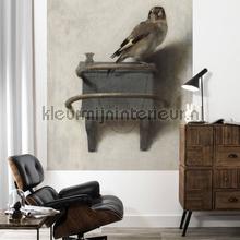 Kek Amsterdam Circles and Panels pa-006 | Bestellen bij https://www.kleurmijninterieur.nl/