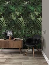 Kek Amsterdam Circles and Panels wp-500 | Bestellen bij https://www.kleurmijninterieur.nl/