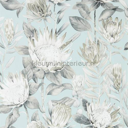 Sanderson Glasshouse 216645 | Bestellen bij https://www.kleurmijninterieur.nl/