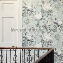 Sanderson Glasshouse 216645 | Bestellen bij https://www.kleurmijninterieur.nl/