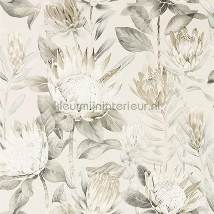 Sanderson Glasshouse 216647 | Bestellen bij https://www.kleurmijninterieur.nl/