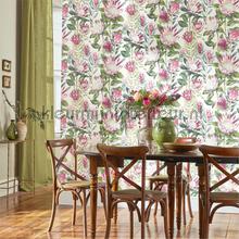 Sanderson Glasshouse 216647 | Bestellen bij https://www.kleurmijninterieur.nl/