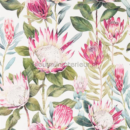 Sanderson Glasshouse 216646 | Bestellen bij https://www.kleurmijninterieur.nl/