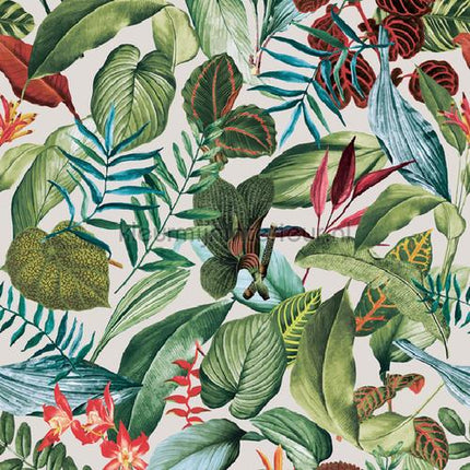 Hookedonwalls Caribbean 27222 | Bestellen bij https://www.kleurmijninterieur.nl/