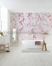 Komar INK INX6-013 | Bestellen bij https://www.kleurmijninterieur.nl/
