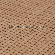 Kleurmijninterieur Natuurlijke Weefsels GPW-PW-054 | Bestellen bij https://www.kleurmijninterieur.nl/
