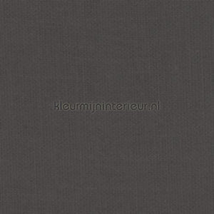 Kleurmijninterieur Delicate delicate-910 | Bestellen bij https://www.kleurmijninterieur.nl/