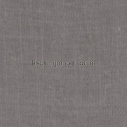 Kleurmijninterieur Delicate delicate-903 | Bestellen bij https://www.kleurmijninterieur.nl/