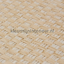 Kleurmijninterieur Natuurlijke Weefsels GPW-PW-020 | Bestellen bij https://www.kleurmijninterieur.nl/