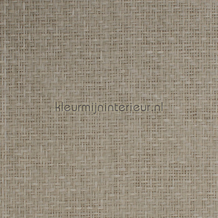Kleurmijninterieur Natuurlijke Weefsels GPW-PW-033 | Bestellen bij https://www.kleurmijninterieur.nl/