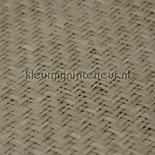 Kleurmijninterieur Natuurlijke Weefsels GPW-PW-033 | Bestellen bij https://www.kleurmijninterieur.nl/