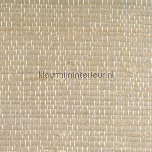 Kleurmijninterieur Natuurlijke Weefsels 60-007 | Bestellen bij https://www.kleurmijninterieur.nl/