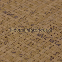 Kleurmijninterieur Natuurlijke Weefsels GPW-PW-045 | Bestellen bij https://www.kleurmijninterieur.nl/