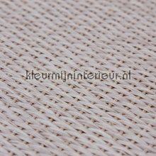 Kleurmijninterieur Natuurlijke Weefsels GPW-PW-043 | Bestellen bij https://www.kleurmijninterieur.nl/