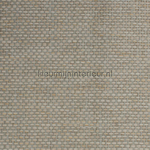 Kleurmijninterieur Natuurlijke Weefsels GPW-PW-041 | Bestellen bij https://www.kleurmijninterieur.nl/