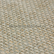 Kleurmijninterieur Natuurlijke Weefsels GPW-PW-041 | Bestellen bij https://www.kleurmijninterieur.nl/