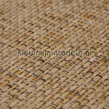 Kleurmijninterieur Natuurlijke Weefsels GPW-PW-042 | Bestellen bij https://www.kleurmijninterieur.nl/