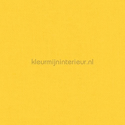 Kleurmijninterieur Delight delight-712 | Bestellen bij https://www.kleurmijninterieur.nl/