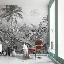 Komar Pure p013-vd4 | Bestellen bij https://www.kleurmijninterieur.nl/