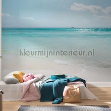 Komar Pure psh097-vd4 | Bestellen bij https://www.kleurmijninterieur.nl/